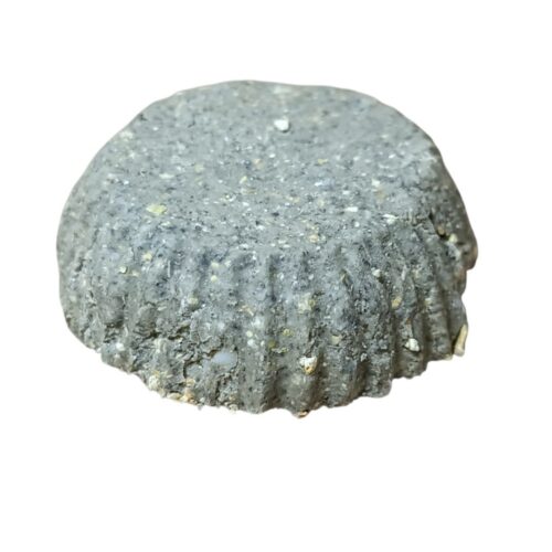 champú-solido-de-limón-y-romero.jpg Champú solido de limón y romero